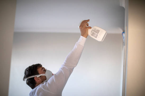 Best Black Mold Removal  in Lancaster, OH