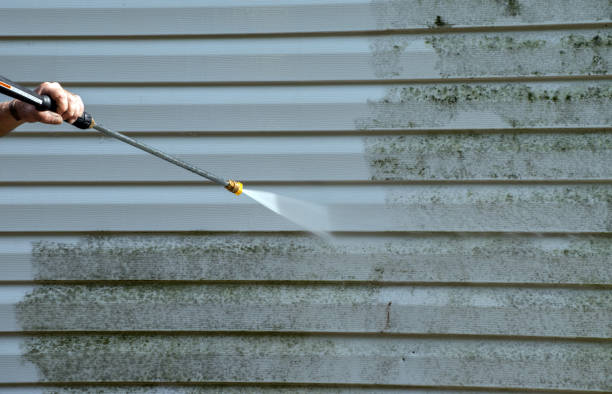 Best Mold Damage Repair  in Lancaster, OH