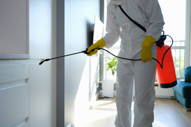 Best Mold Cleaning Services  in Lancaster, OH