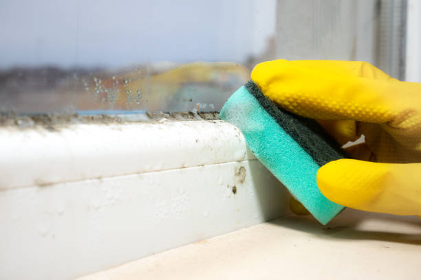 Best Mold Cleaning Services  in Lancaster, OH