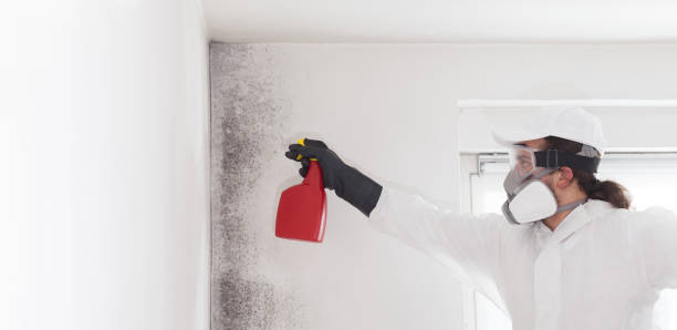 Best Fast Mold Removal  in Lancaster, OH
