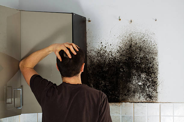 Best Professional Mold Removal  in Lancaster, OH
